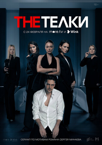 The Телки - постер